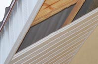 rated Tilney Cum Islington soffit repair companies